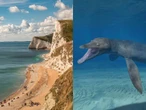 Massive skull of prehistoric sea monster that was the 'ultimate killing machine' discovered in UK