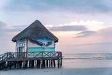 My experience on 'Survivor' made me want to live among nature. So I moved to Mexico.