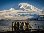 Photos show the Heard and McDonald Islands, the remote territory full of penguins and seals Trump hit with a 10% tariff