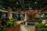 See inside Pinterest's quirky Dublin office, which has a pub and a workspace resembling a Celtic forest 