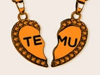 My Temu order safely arrived &mdash;&nbsp;with no extra tariff fees. But you might not be so lucky.