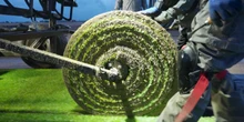 Why FIFA spends millions on World Cup grass
