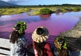Tourists are flocking to a strange  bubblegum pink pond in Hawaii