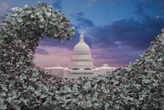 The AI industry has already spent $65 million ahead of the midterm elections with no signs of slowing down.