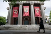 A Harvard professor on why AI 'evangelism' is harming students' career prospects