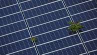 U.S. solar projects could boom as installations hit record