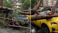 Przewracała drzewa, unosiła samochody. Potężna trąba powietrzna w Rzymie