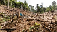 Amazonia zmieni się w sawannę. Punkt krytyczny coraz bliżej