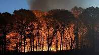 Brush Fire Breaks Out In Brooklyn's Prospect Park During 'Historically Dry Time'