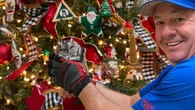 Kentucky Family Finds Baby Owl In Their Christmas Tree
