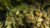 Swedish Officials Forbid Removal Of Champagne Bottles From Shipwreck