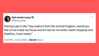 20 Of The Funniest Tweets About Cats And Dogs This Week