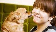 After Reading This, Do You Still Want To Let Your Dog Lick Your Face?