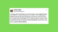26 Of The Funniest Tweets About Cats And Dogs This Week