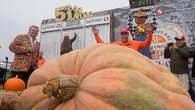 Minnesota Teacher's Massive Pumpkin Wins California Contest