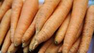 1 Dead, Dozens Sick After Eating Carrots Contaminated With E. Coli