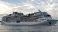 Cruise Ship Sails Into NYC Port With 44-Foot Dead Whale Across Its Bow