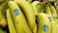 Jury In Florida Finds Chiquita Funded Violent Colombian Paramilitary Group