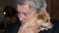 Alain Delon’s Dying Wish — To Have His Dog Killed And Buried With Him — Will Not Happen