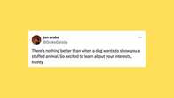 29 Of The Funniest Tweets About Cats And Dogs This Week