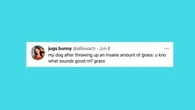 26 Of The Funniest Tweets About Cats And Dogs This Week