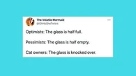 31 Of The Funniest Tweets About Cats And Dogs This Week