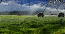 Las exportaciones de México también se llevan el agua del país y suman presión a la crisis hídrica