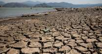 #Entrelíneas | La urgente y obligada cruzada por el agua