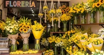 ¿Cuándo se regalan flores amarillas en septiembre? Estas son las mejores opciones para dar