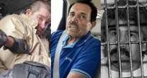 La cárcel o la muerte, los destinos de la primera generación de narcos mexicanos