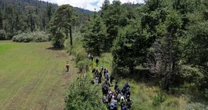 El Ajusco, reserva natural y punto de desapariciones en CDMX