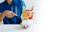 Cómo cuidar tu flora intestinal (sin complicarte la vida)