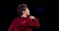 ¿Nuevo disco? No. Harry Styles lanza línea de juguetes sexuales