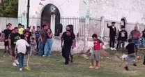 Golpean animales como si fueran piñatas en Campeche; Profepa investiga