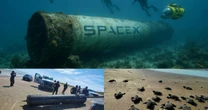 Basura de SpaceX en Tamaulipas amenaza el ambiente y a la tortuga lora