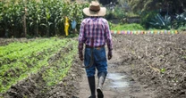 Inseguridad y crisis sanitaria debilitan al agro rumbo a revisión del T-MEC
