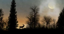 ¿Cuándo es la Luna llena en julio 2025 y por qué se le llama Luna de ciervo?