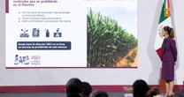 Gobierno lanza Café del Bienestar; será soluble y costará entre 35 y 110 pesos