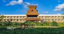 Plaga de escarabajo barrenador pone en riesgo un hotel de Tulum recién inaugurado
