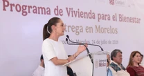 México alista la liberación de moscas estériles para controlar la plaga de gusano barrenador en el ganado