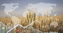 En el 80 aniversario de la FAO. El largo camino que falta
