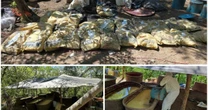Aseguran 21 toneladas de metanfetamina y dos narcolaboratorios en Durango