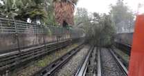 Cae árbol sobre vías en Línea 5 del Metro CDMX; se interrumpe servicio