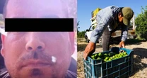 Detienen a ''El Pantano'' por homicidio de líder limonero en Michoacán