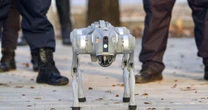 Los perros robot dejan el espectáculo y se convierten en aliados de la industria