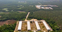 Megaproyectos ponen en "fuego cruzado" a la Selva Maya; piden frenar devastación