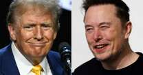 La compleja relación de Elon Musk y Trump: ¿en qué coinciden y en qué no?