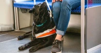 Prohíben acceso al Metro a persona ciega y perro guía, ¿qué dice el reglamento?