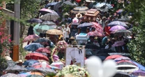 Autoridades de Puebla vinculan masacre en Texcalapa con disputa familiar