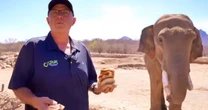Santuario animal emprende éxodo por la violencia en Sinaloa